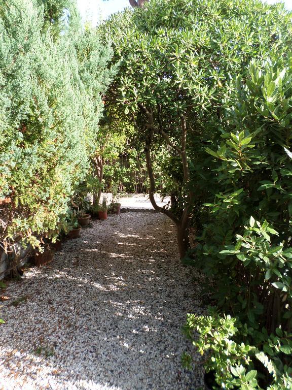 Le Midi Versilia Lido di Camaiore Dış mekan fotoğraf